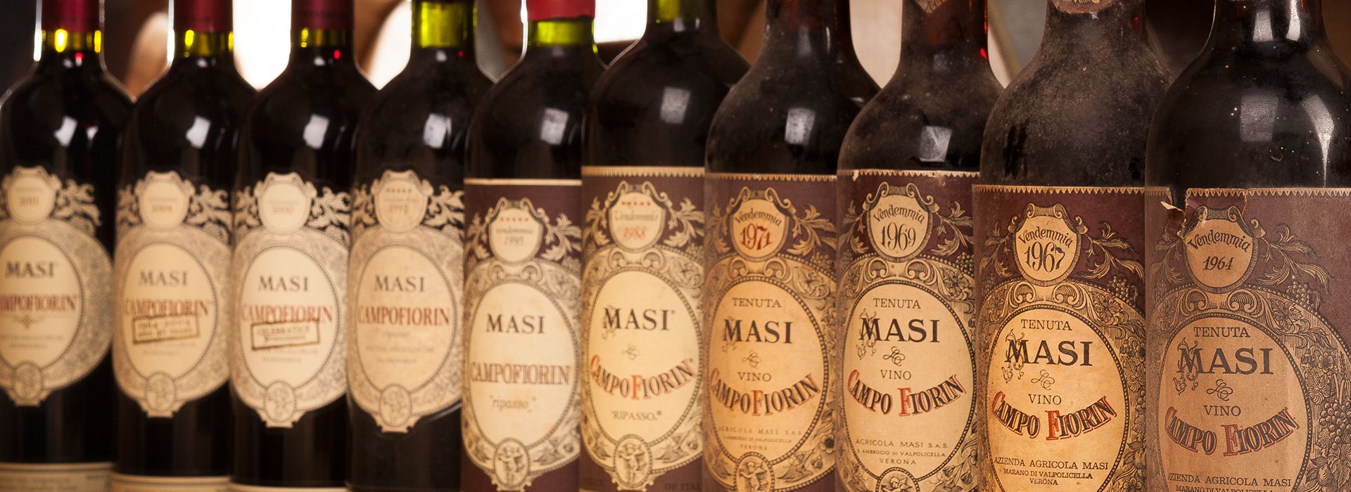 Banner Masi.jpg