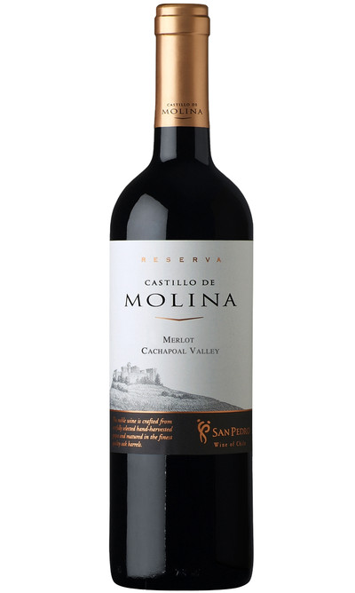 Castillo-de-Molina-Merlot-Vina-San-Pedro.png