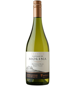 Castillo-de-Molina-Sauvignon-Blanc-Elqui-Vina-San-Pedro.png