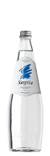Surgiva Mineral Water Naturale s.png